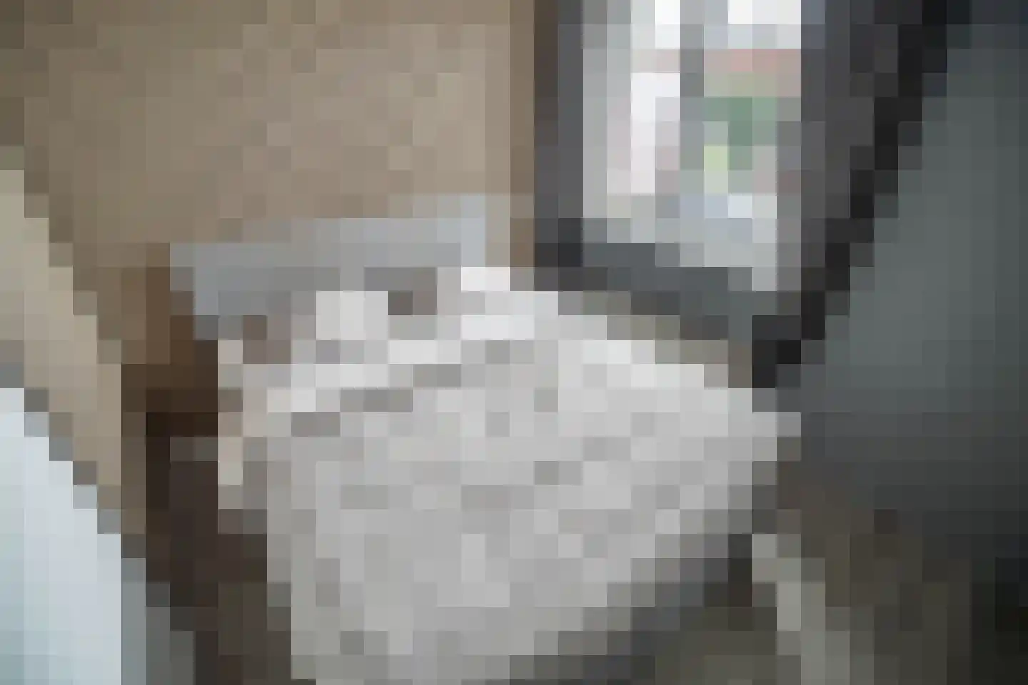 Slootdreef 235 Zoetermeer thumbnail 23