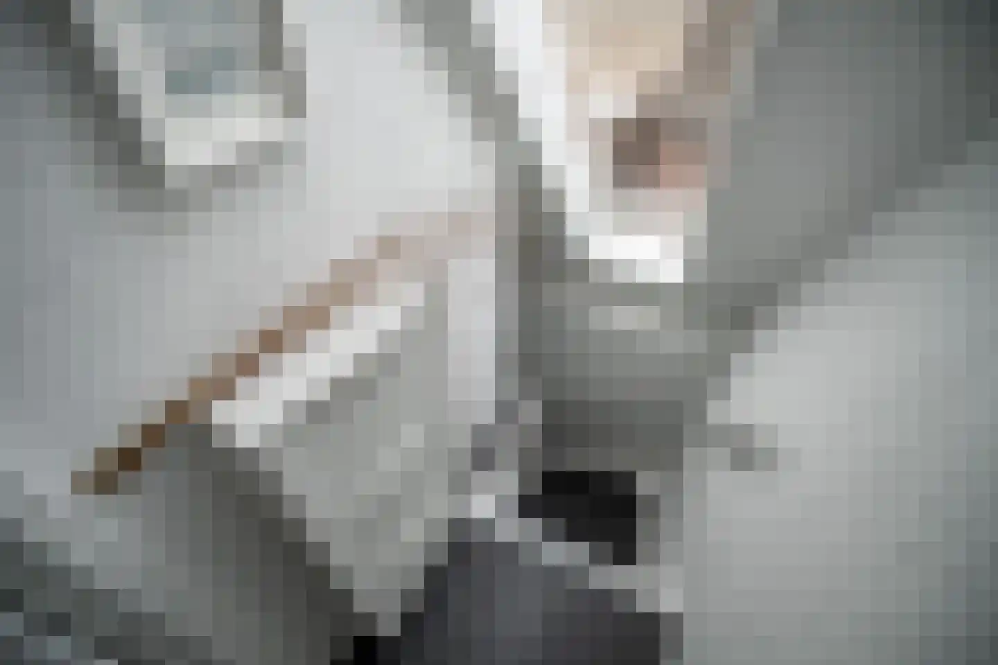 Slootdreef 235 Zoetermeer thumbnail 27