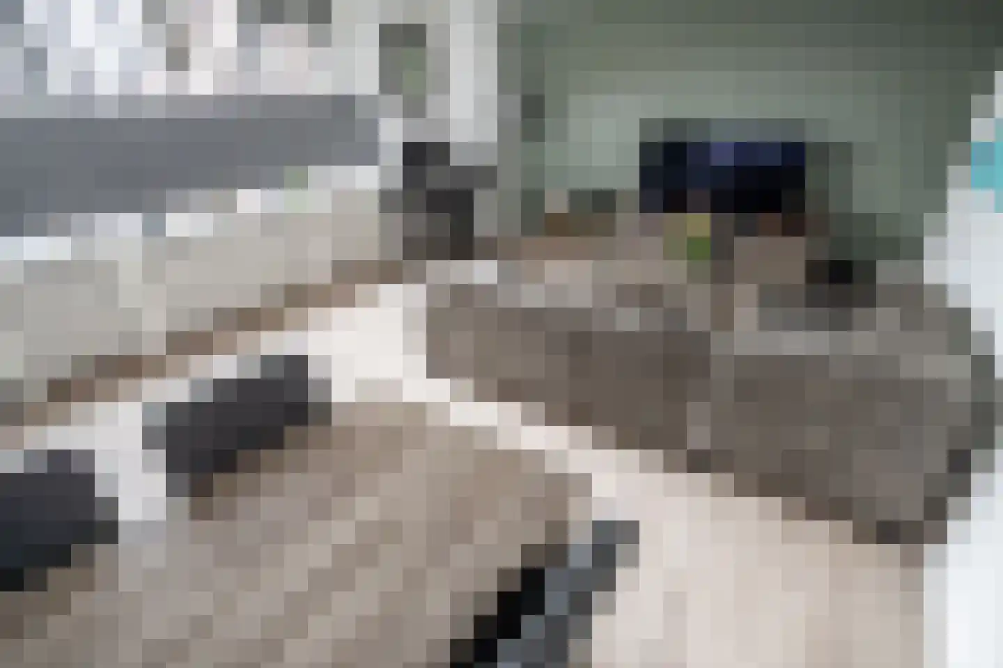 Slootdreef 235 Zoetermeer thumbnail 5