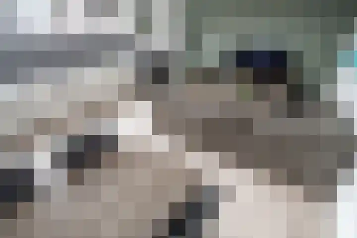 Slootdreef 235 Zoetermeer thumbnail 5