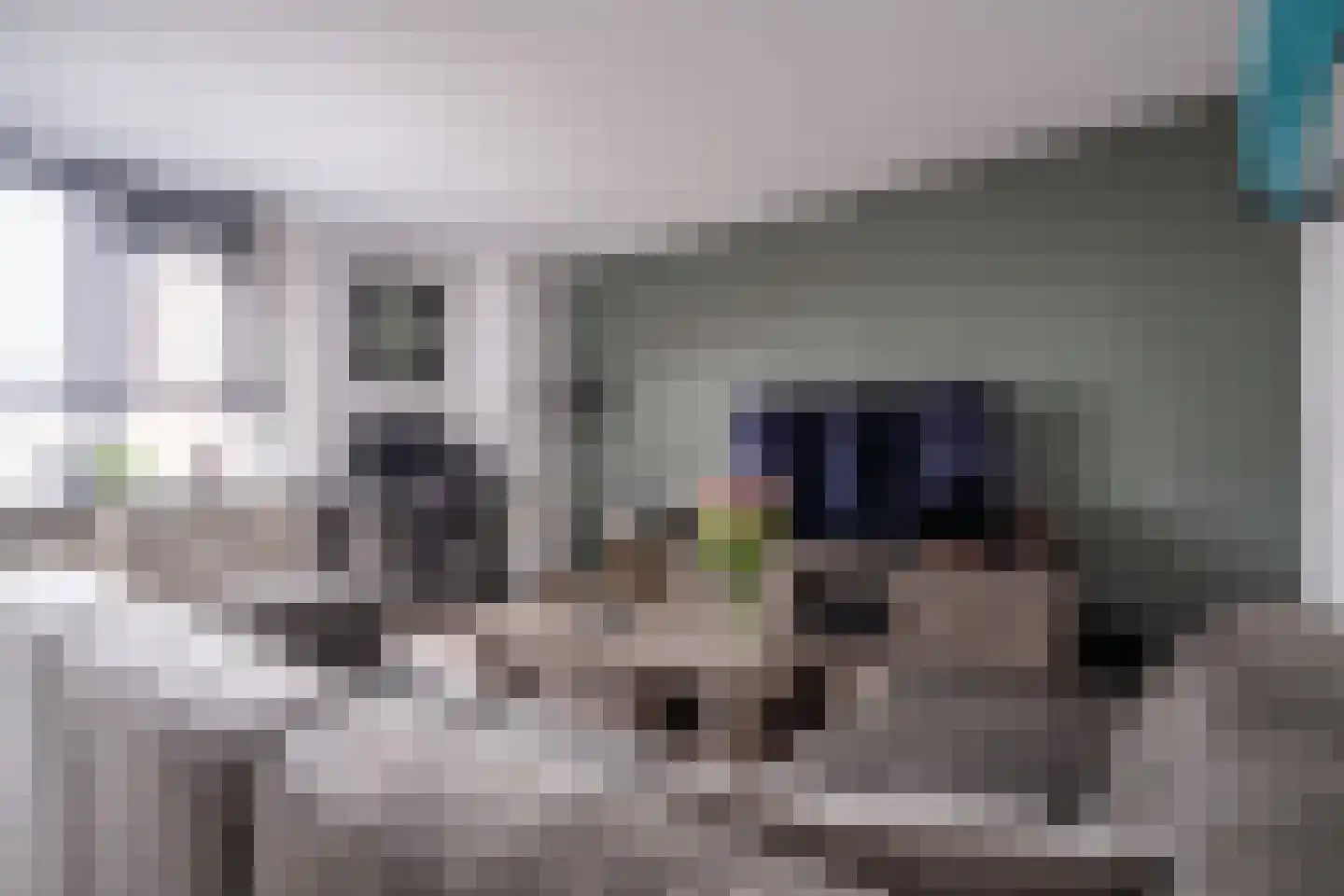 Slootdreef 235 Zoetermeer thumbnail 8