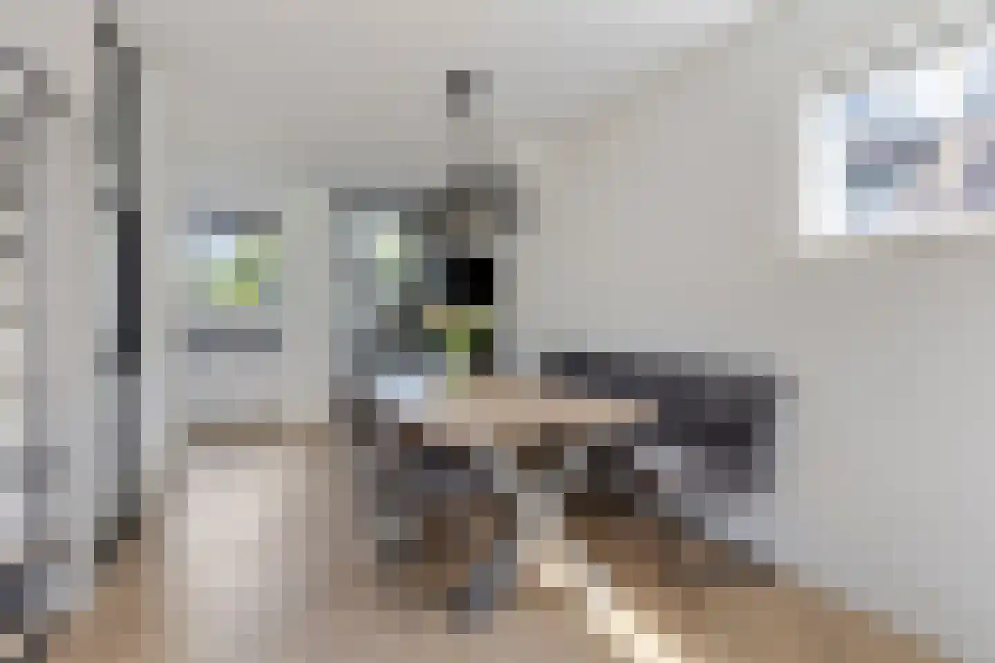 Slootdreef 29 Zoetermeer thumbnail 15