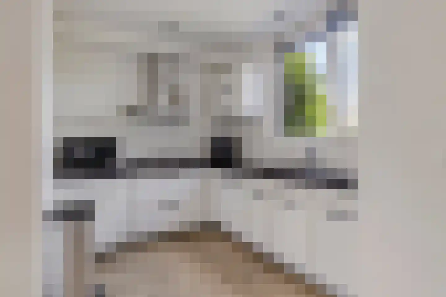 Slootdreef 29 Zoetermeer thumbnail 16