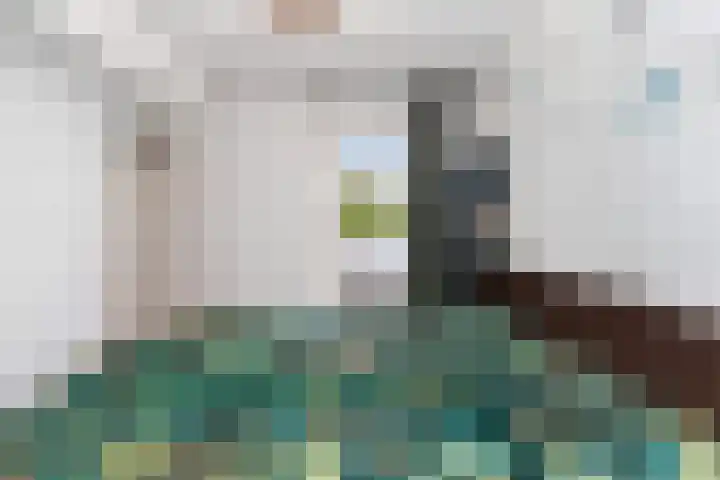 Slootdreef 56 Zoetermeer thumbnail 16