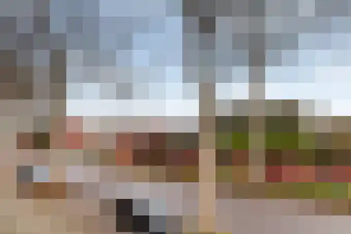 Slootdreef 56 Zoetermeer thumbnail 21