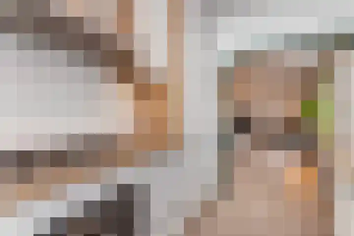 Slootdreef 56 Zoetermeer thumbnail 9