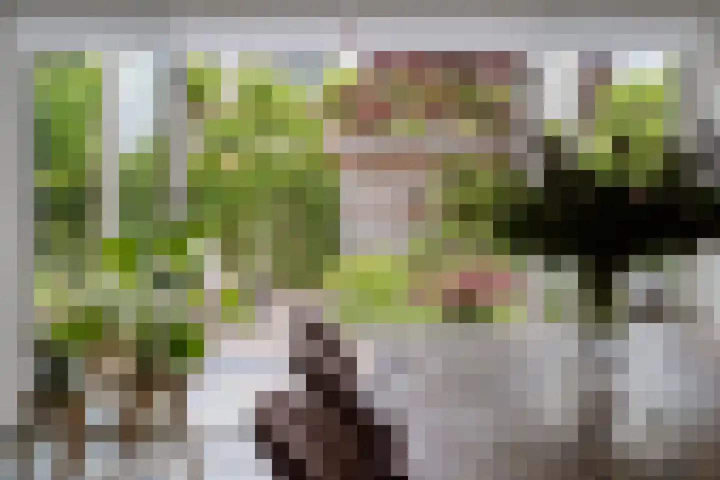 Sloothaak 47 Soest thumbnail 13