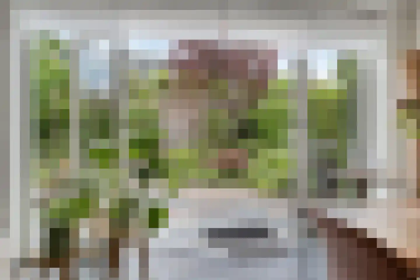 Sloothaak 47 Soest thumbnail 14