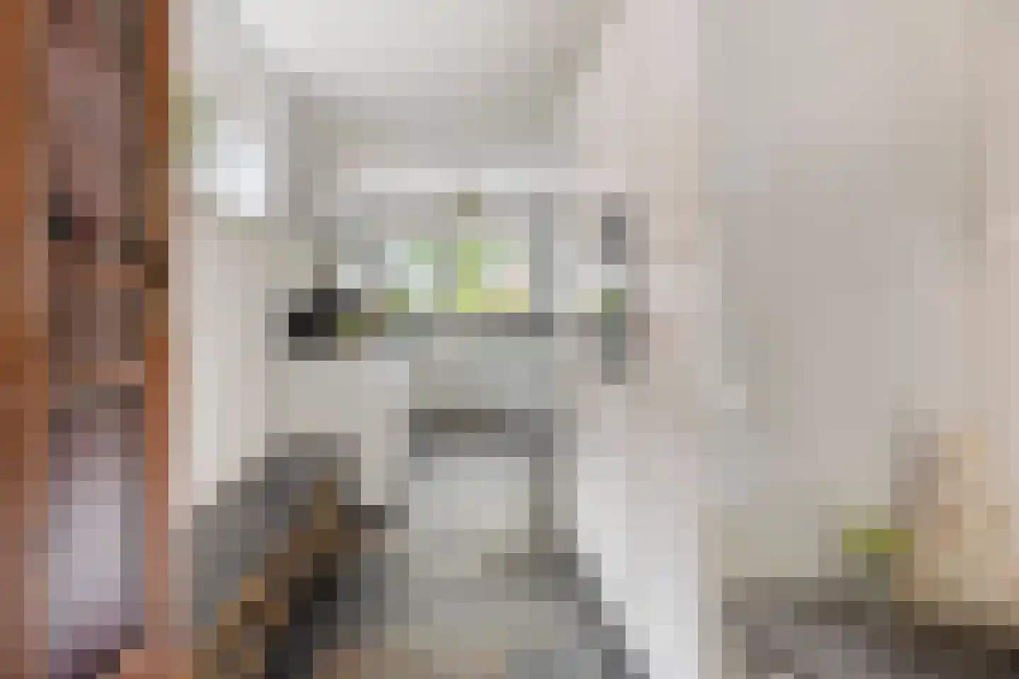 Sloothaak 47 Soest thumbnail 15