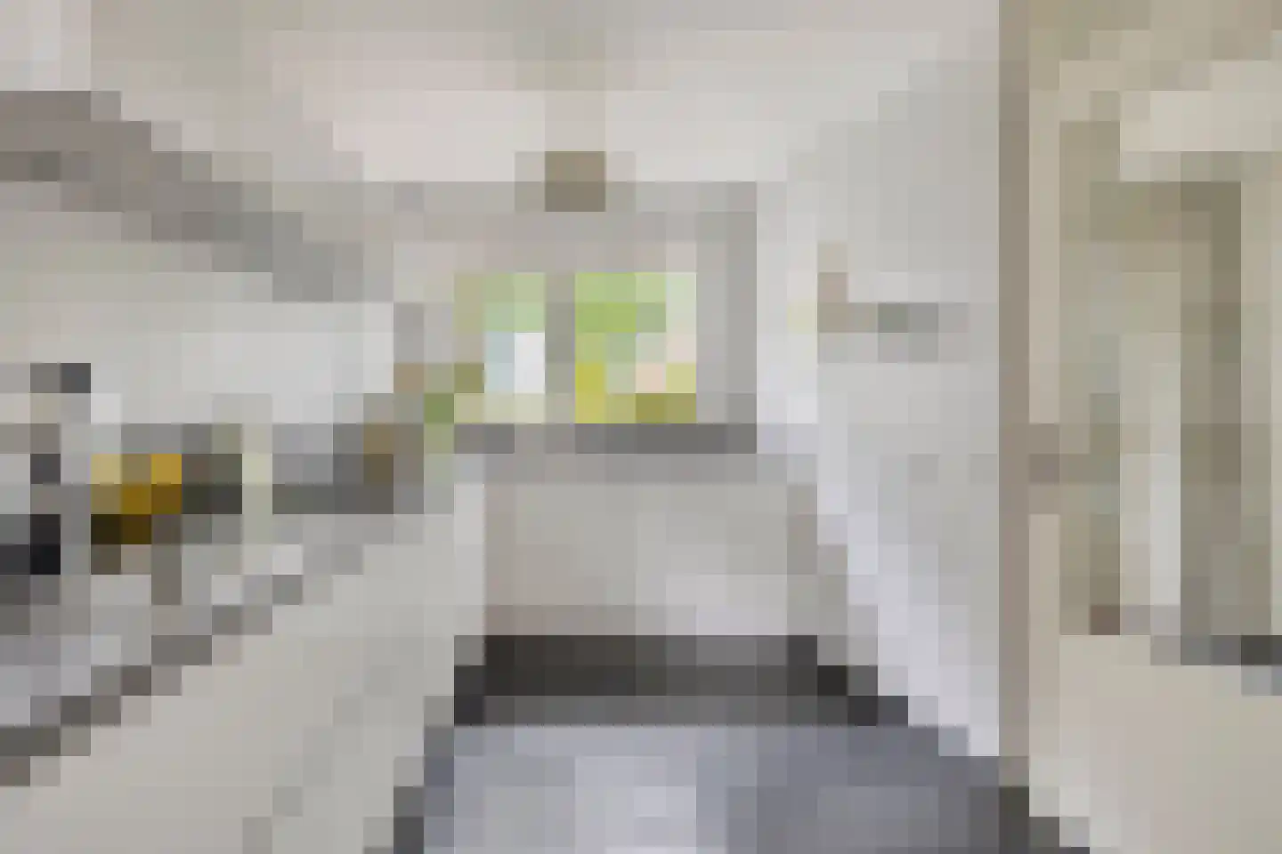 Sloothaak 47 Soest thumbnail 17