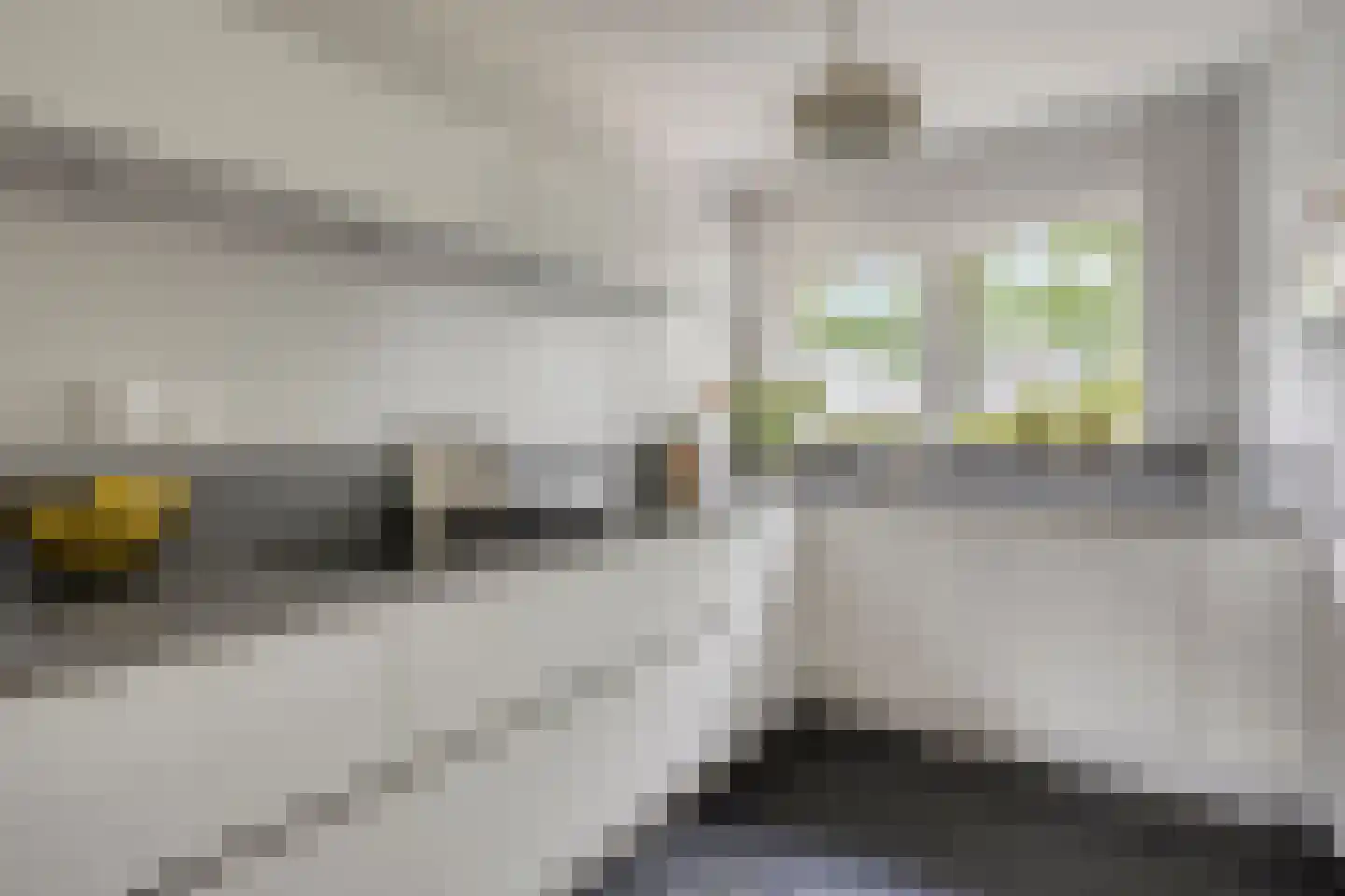 Sloothaak 47 Soest thumbnail 18