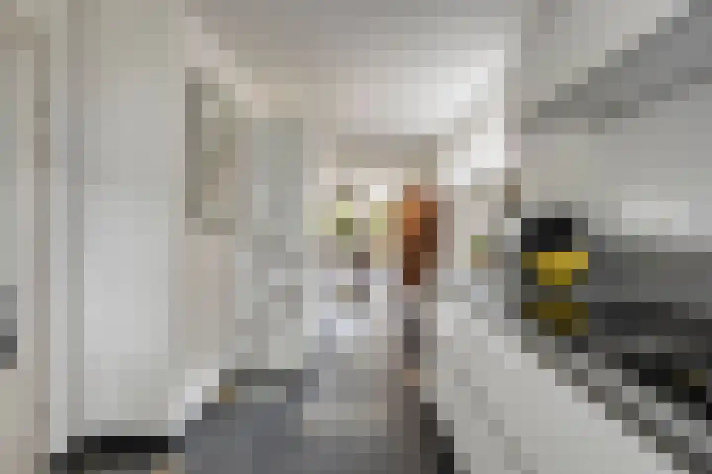 Sloothaak 47 Soest thumbnail 20