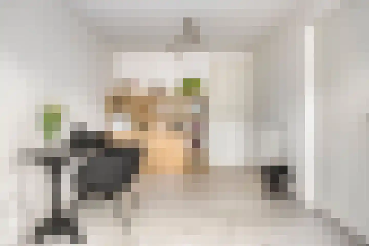 Sloothaak 47 Soest thumbnail 21