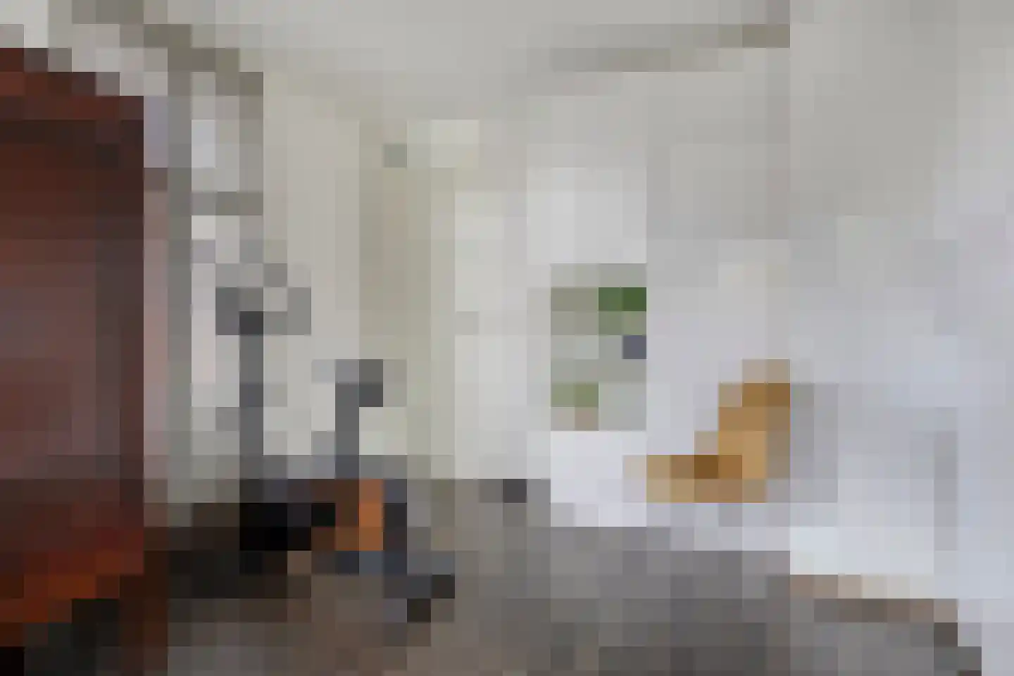 Sloothaak 47 Soest thumbnail 33