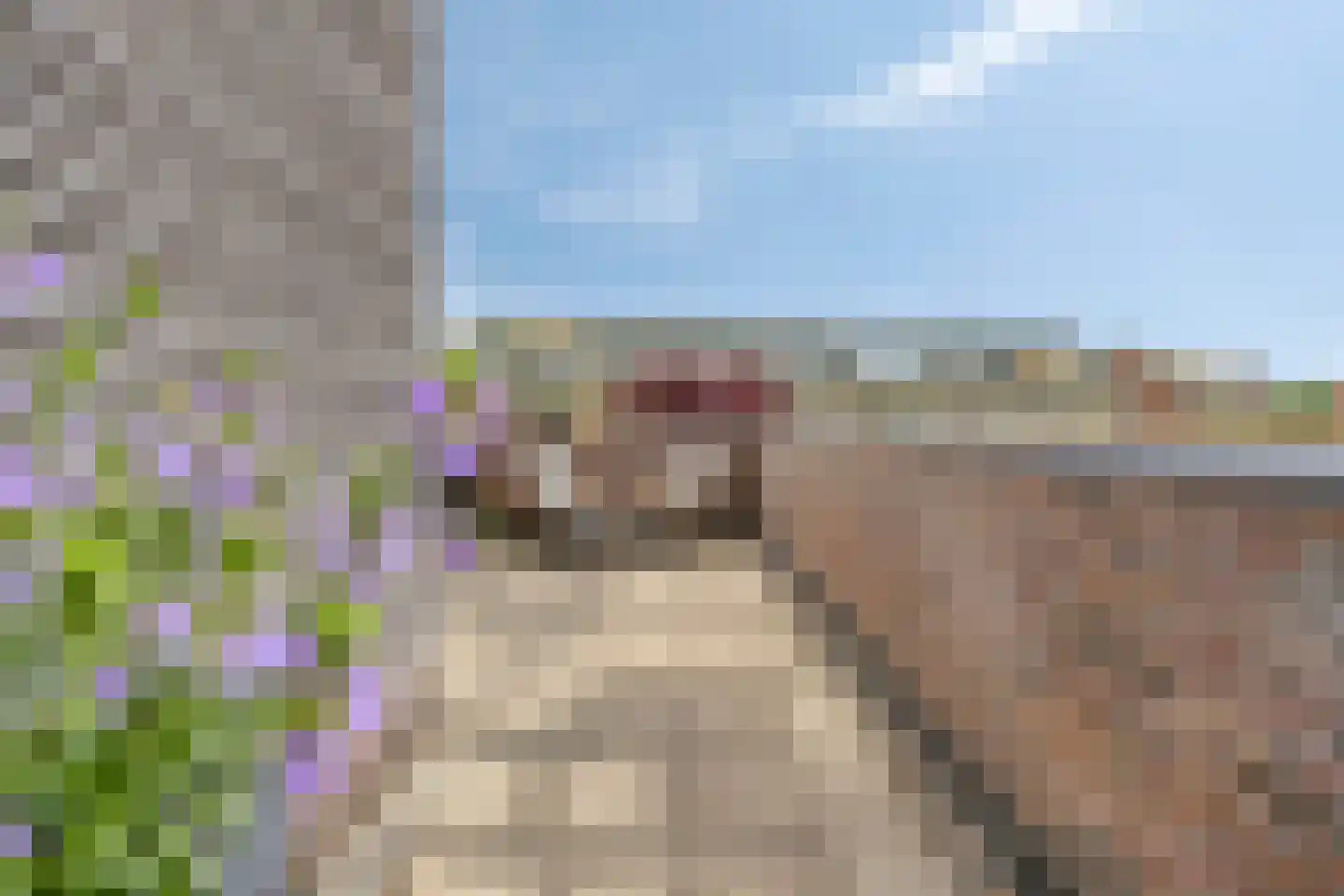Sloothaak 47 Soest thumbnail 37