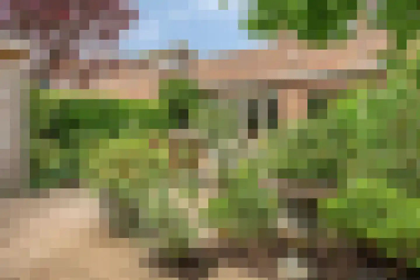 Sloothaak 47 Soest thumbnail 42