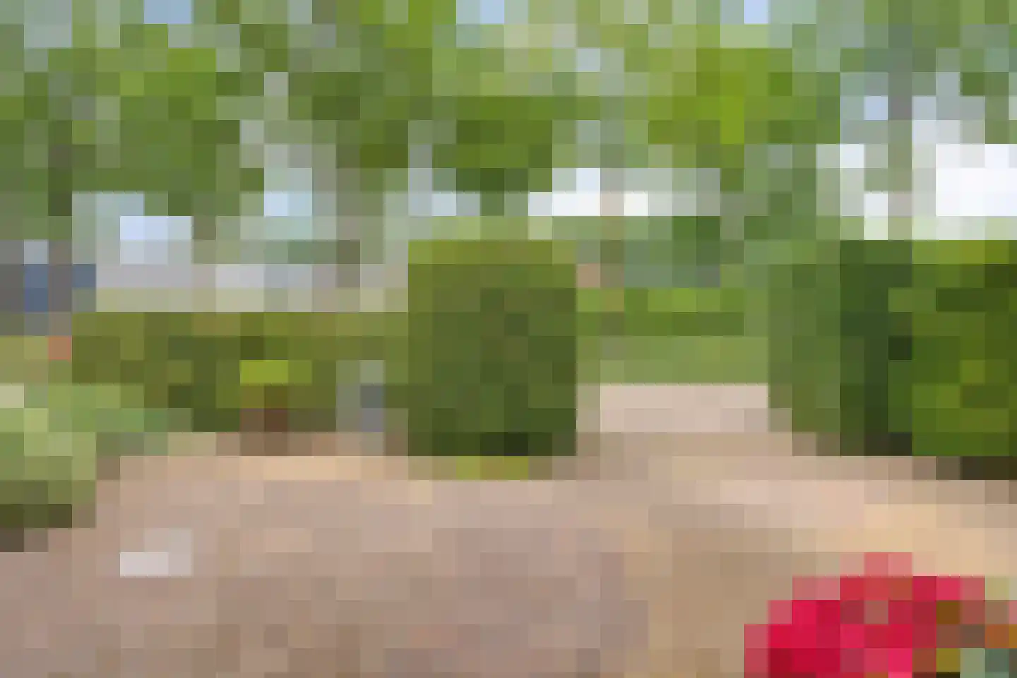 Sloothaak 47 Soest thumbnail 50