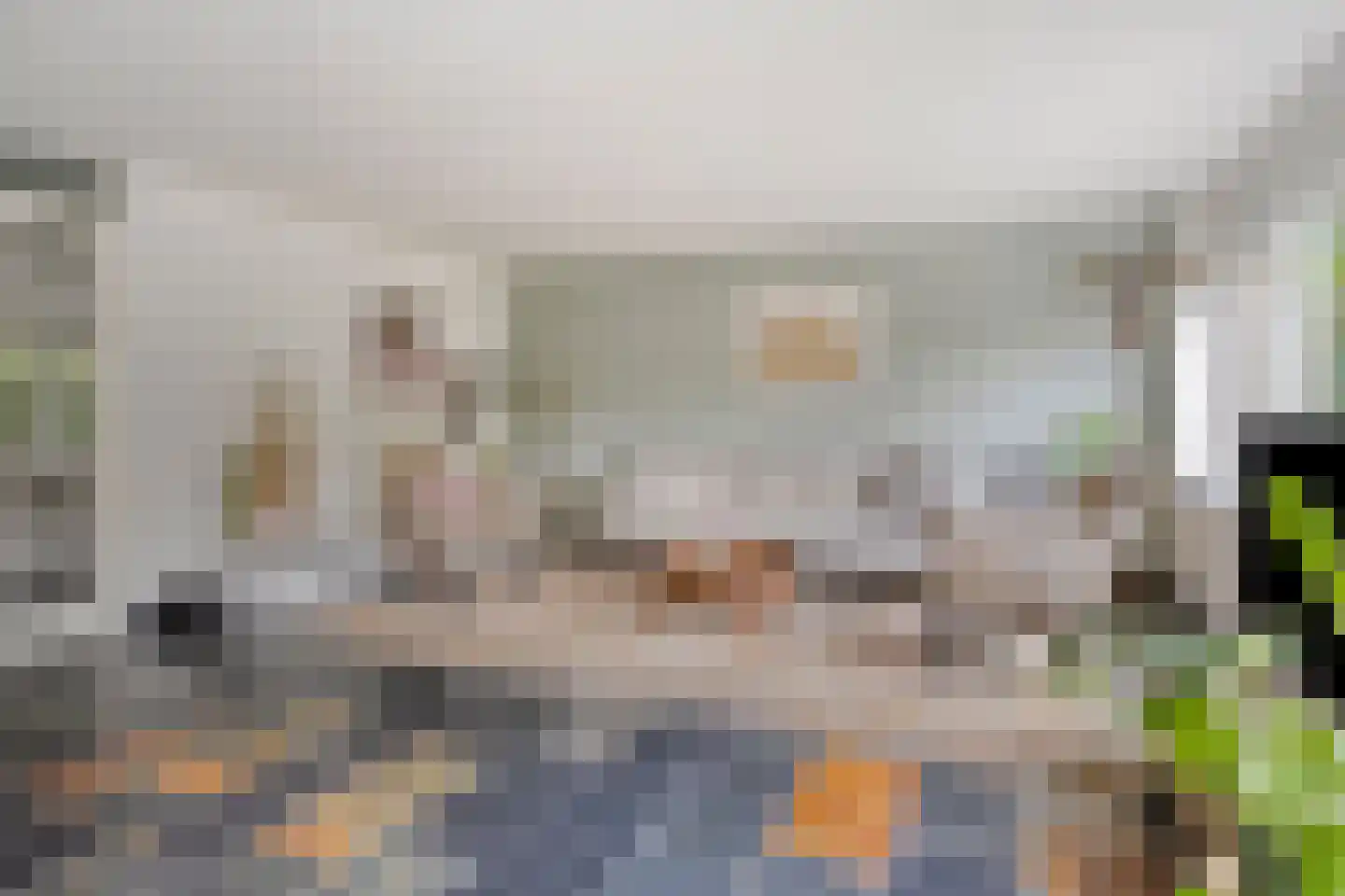 Sloothaak 47 Soest thumbnail 6