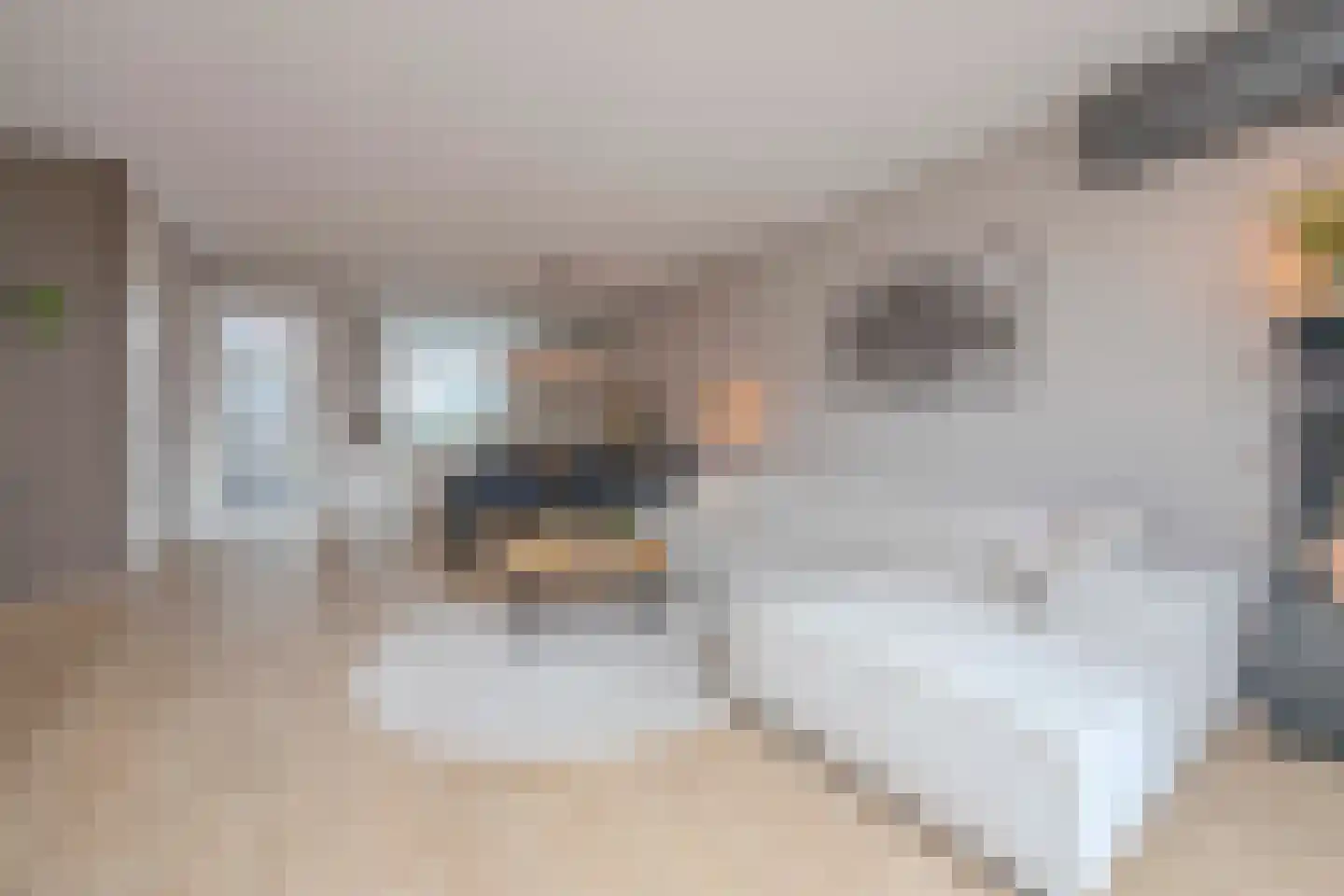 Slootjesbeemd 16 Best thumbnail 14