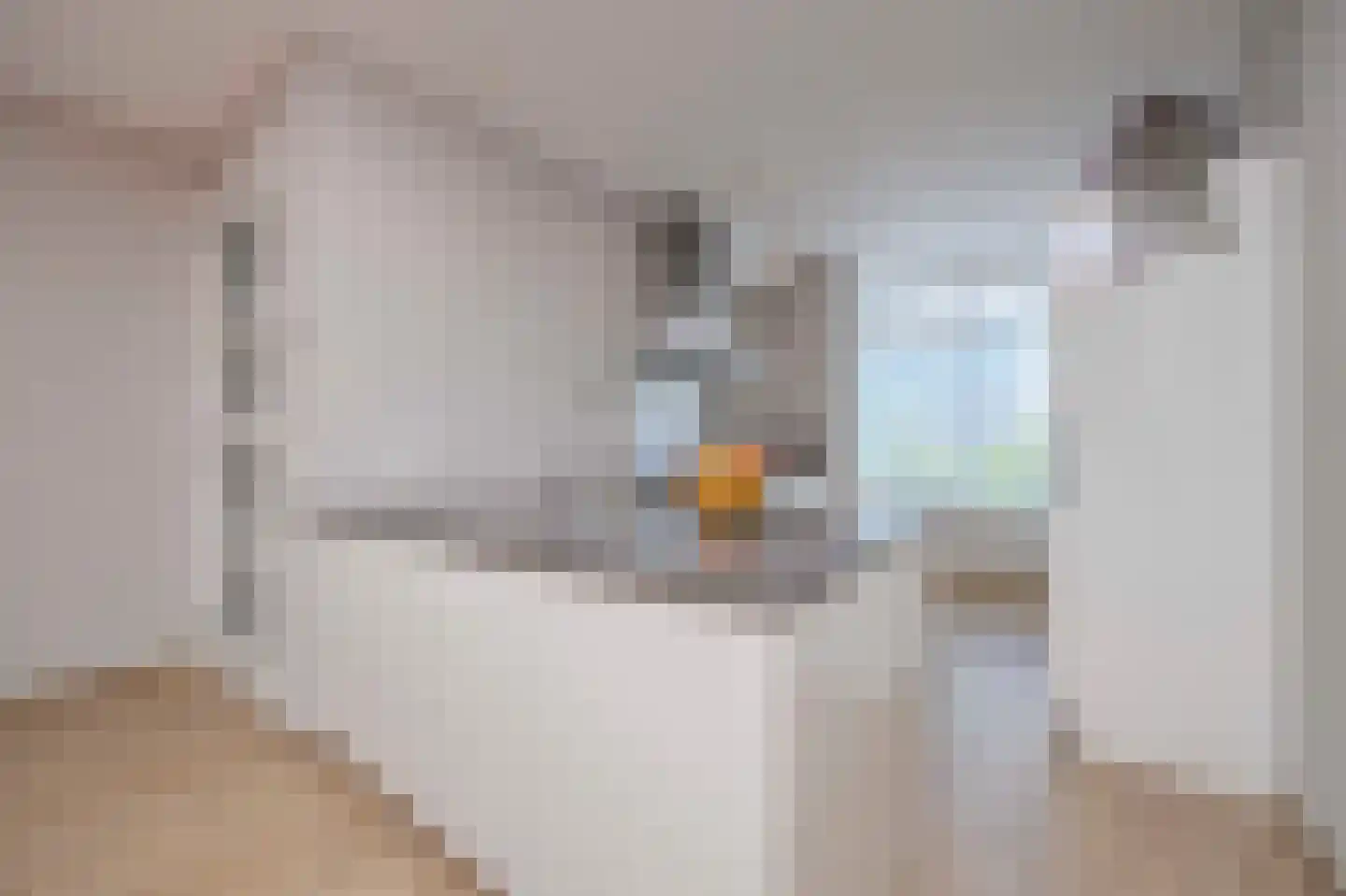 Slootjesbeemd 16 Best thumbnail 18