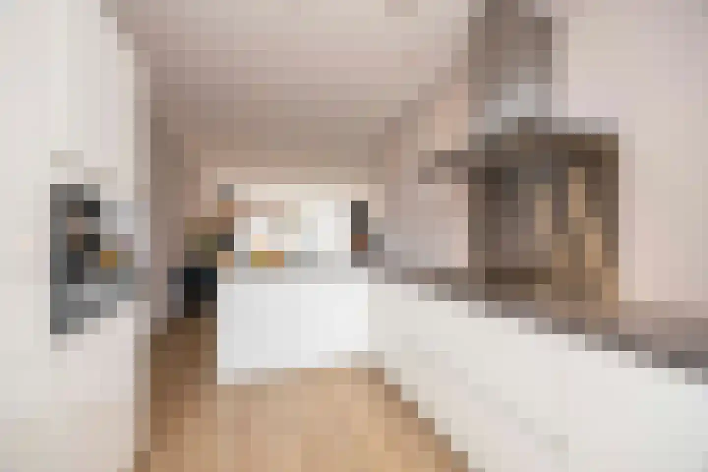 Slootjesbeemd 16 Best thumbnail 20