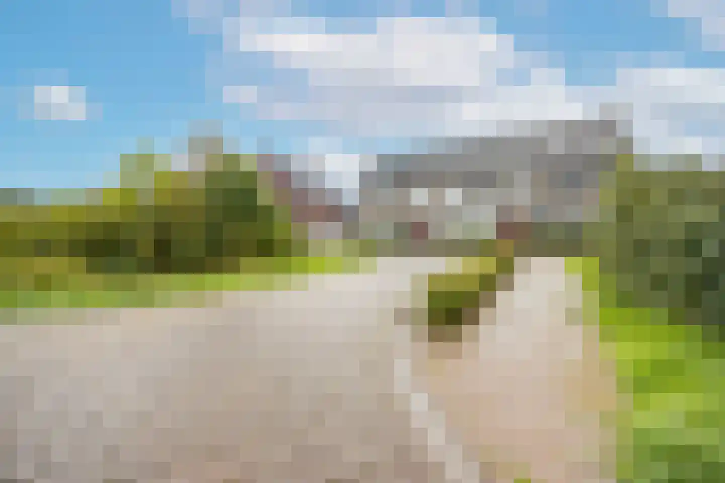 Slootjesbeemd 16 Best thumbnail 39