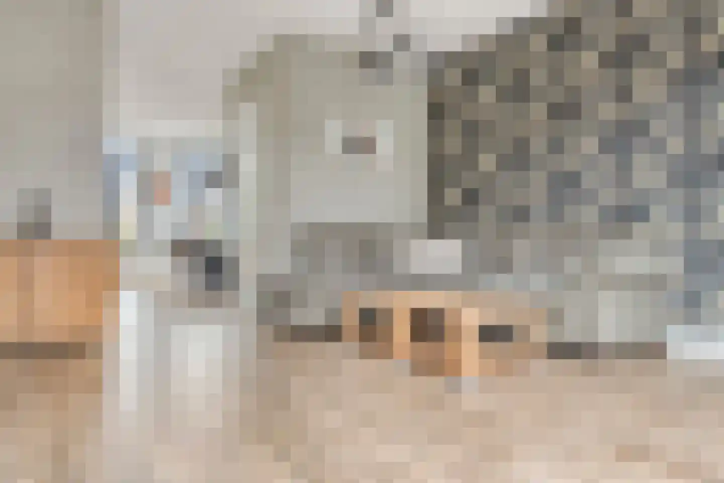 Slootjesbeemd 8 Best thumbnail 11
