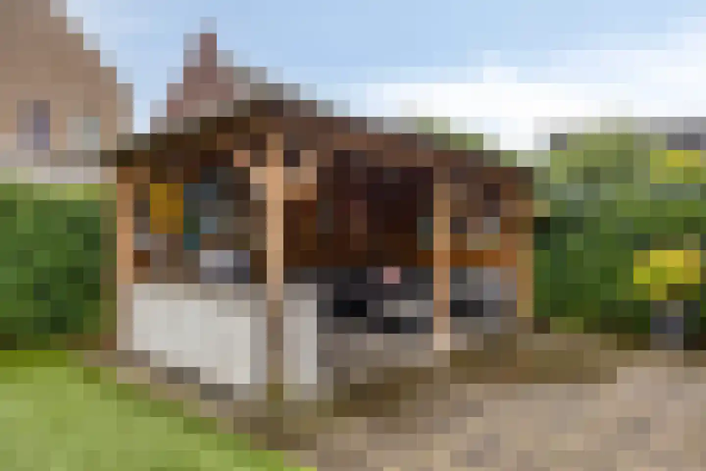Slootjesbeemd 8 Best thumbnail 44