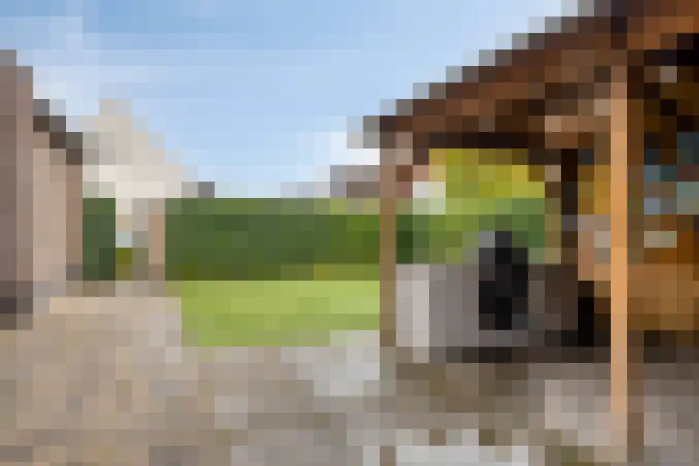 Slootjesbeemd 8 Best thumbnail 45