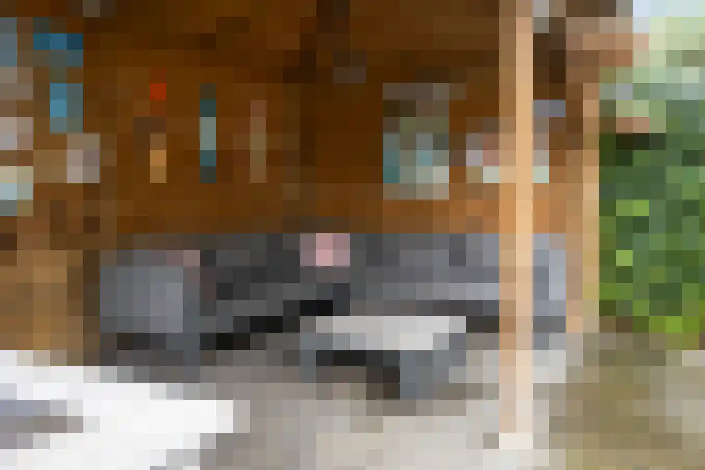 Slootjesbeemd 8 Best thumbnail 46