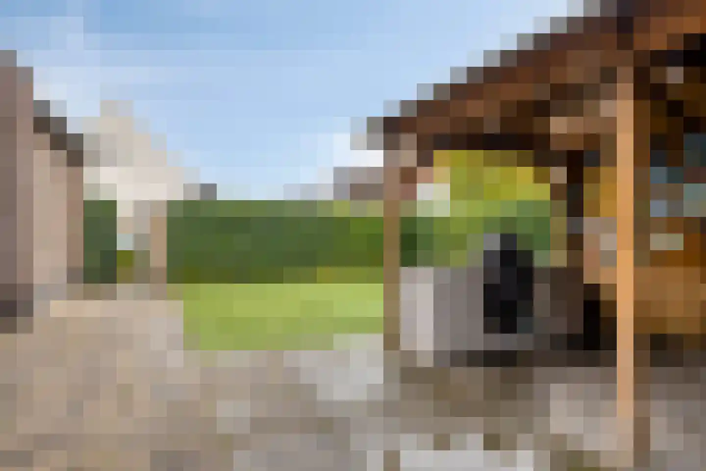 Slootjesbeemd 8 Best thumbnail 5