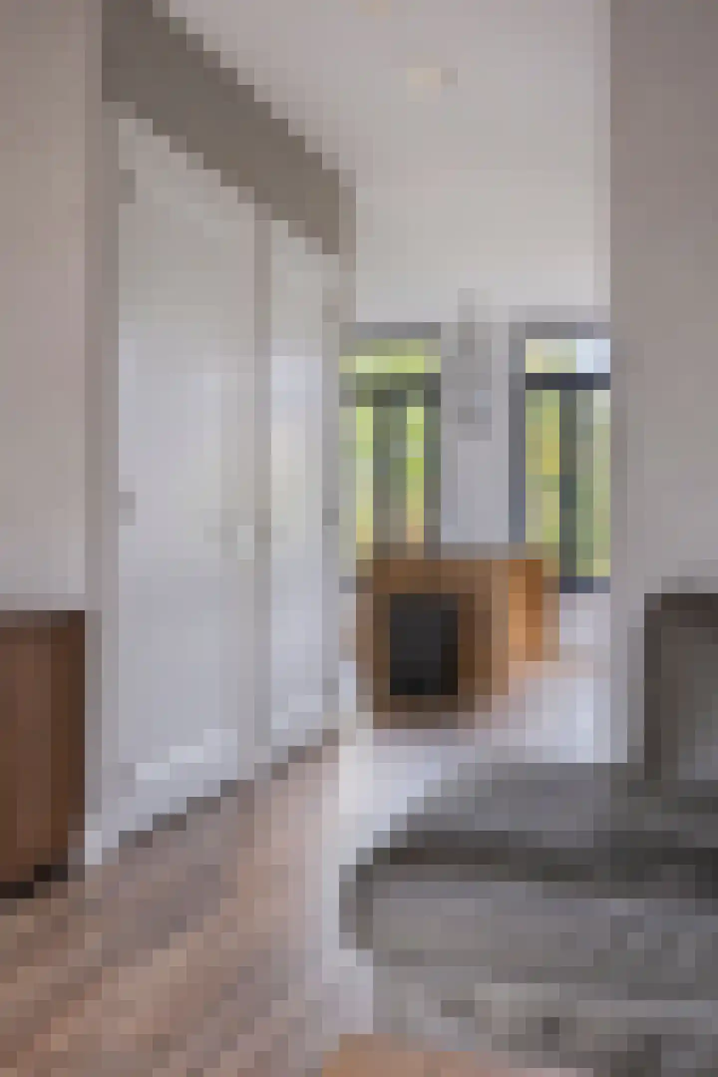 Slootjesbeemd 8 Best thumbnail 8