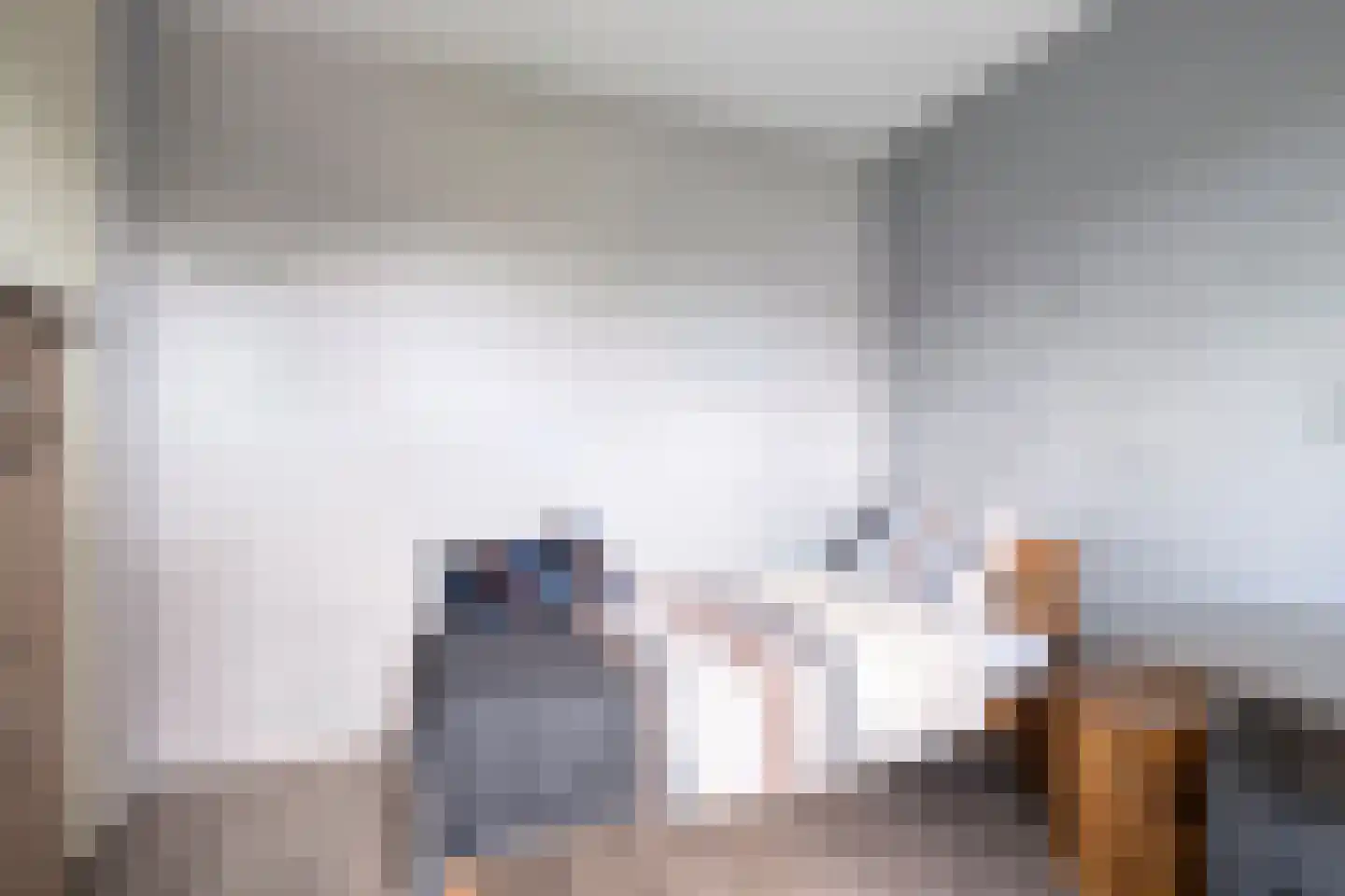 Slootland 39 Oldemarkt thumbnail 17