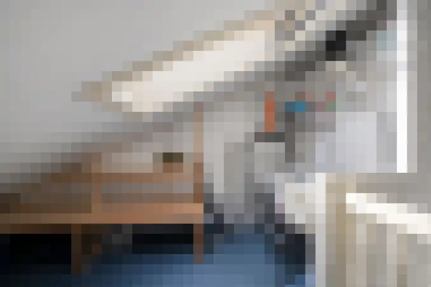 Slootland 39 Oldemarkt thumbnail 25