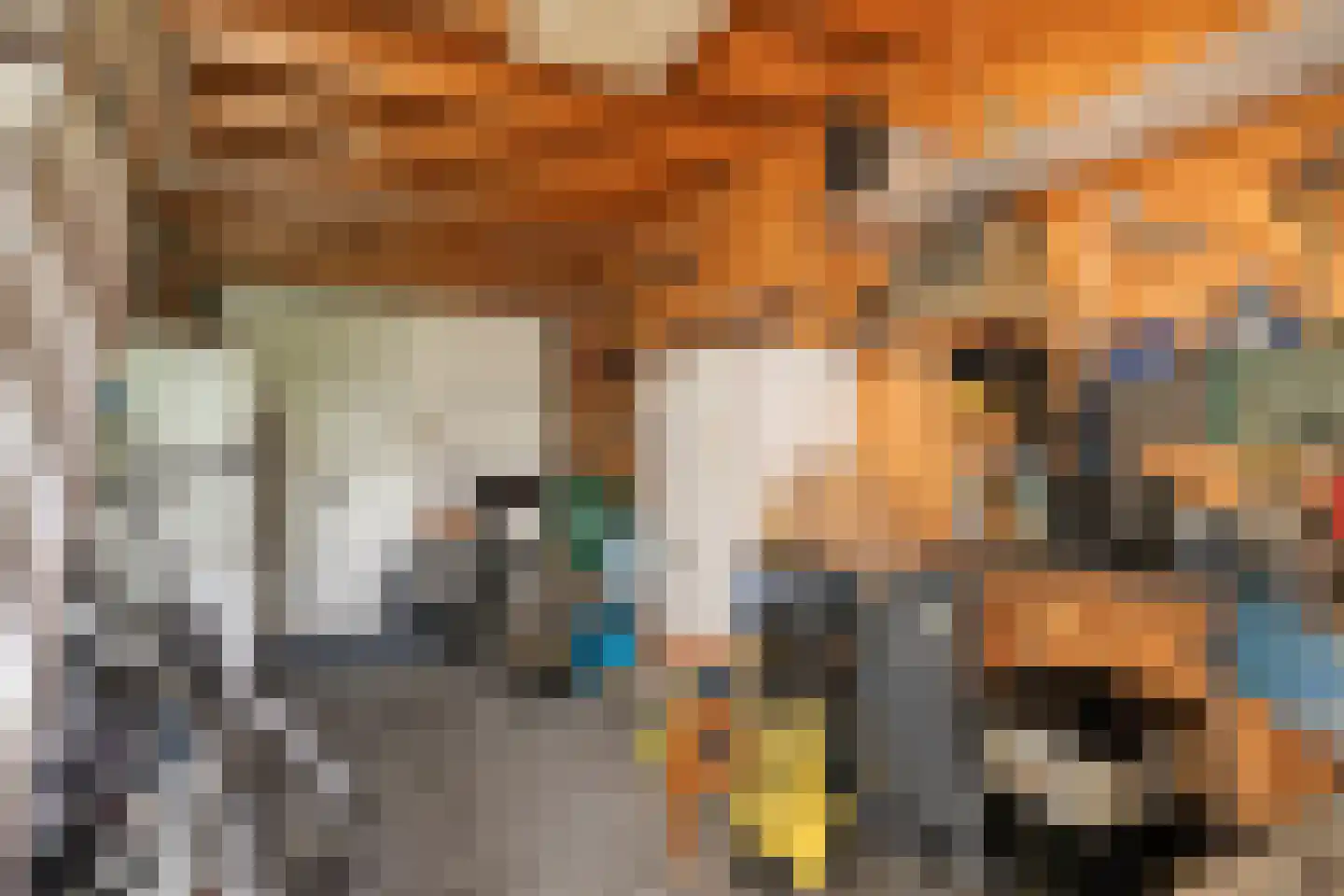 Slootland 39 Oldemarkt thumbnail 28