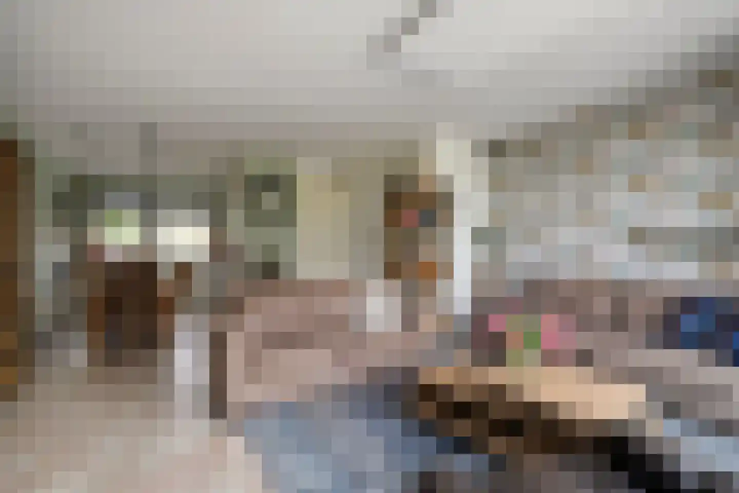 Slootland 39 Oldemarkt thumbnail 4