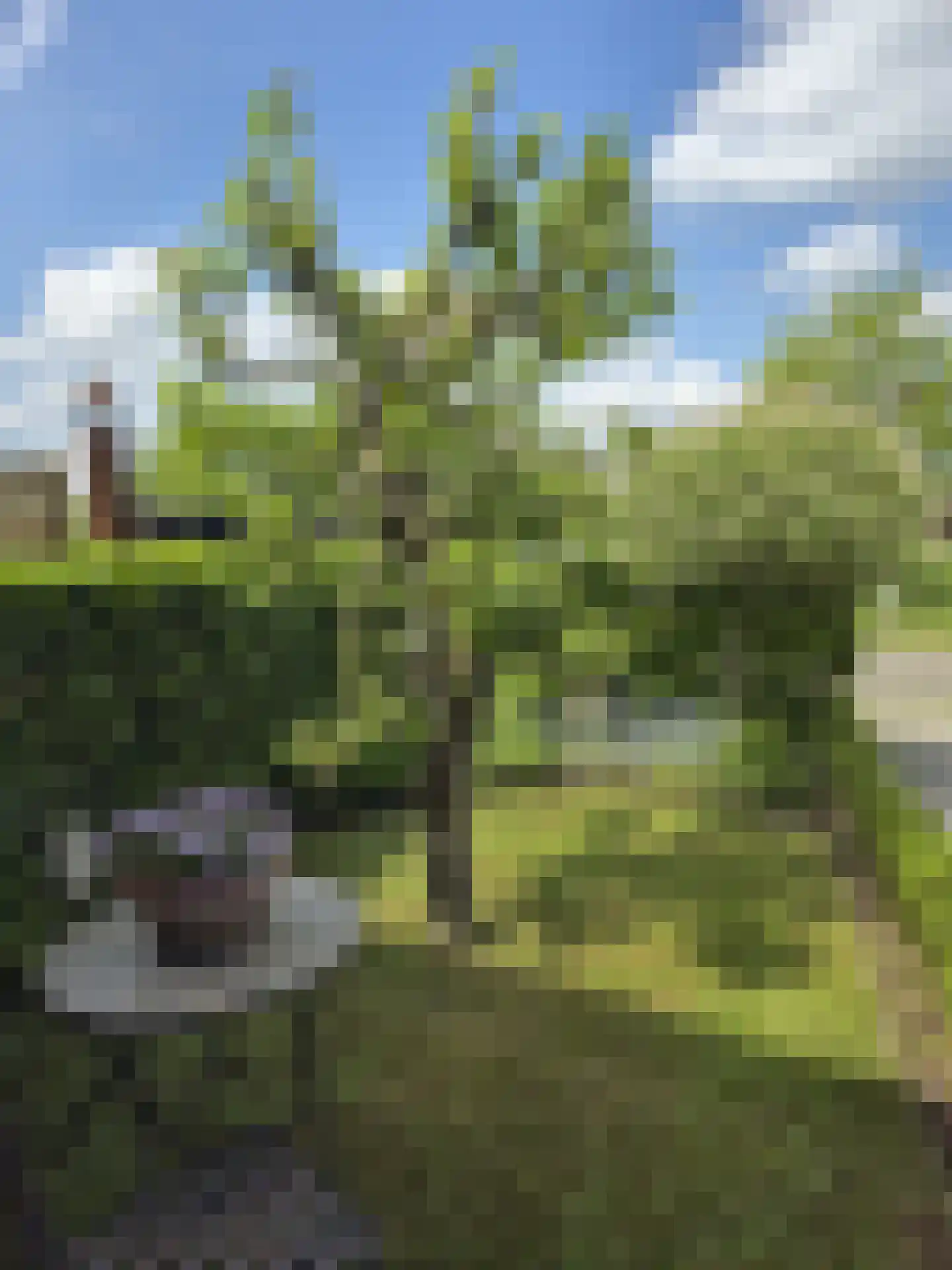 Slootland 39 Oldemarkt thumbnail 40