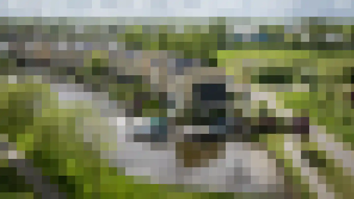 Slootland 39 Oldemarkt thumbnail 50