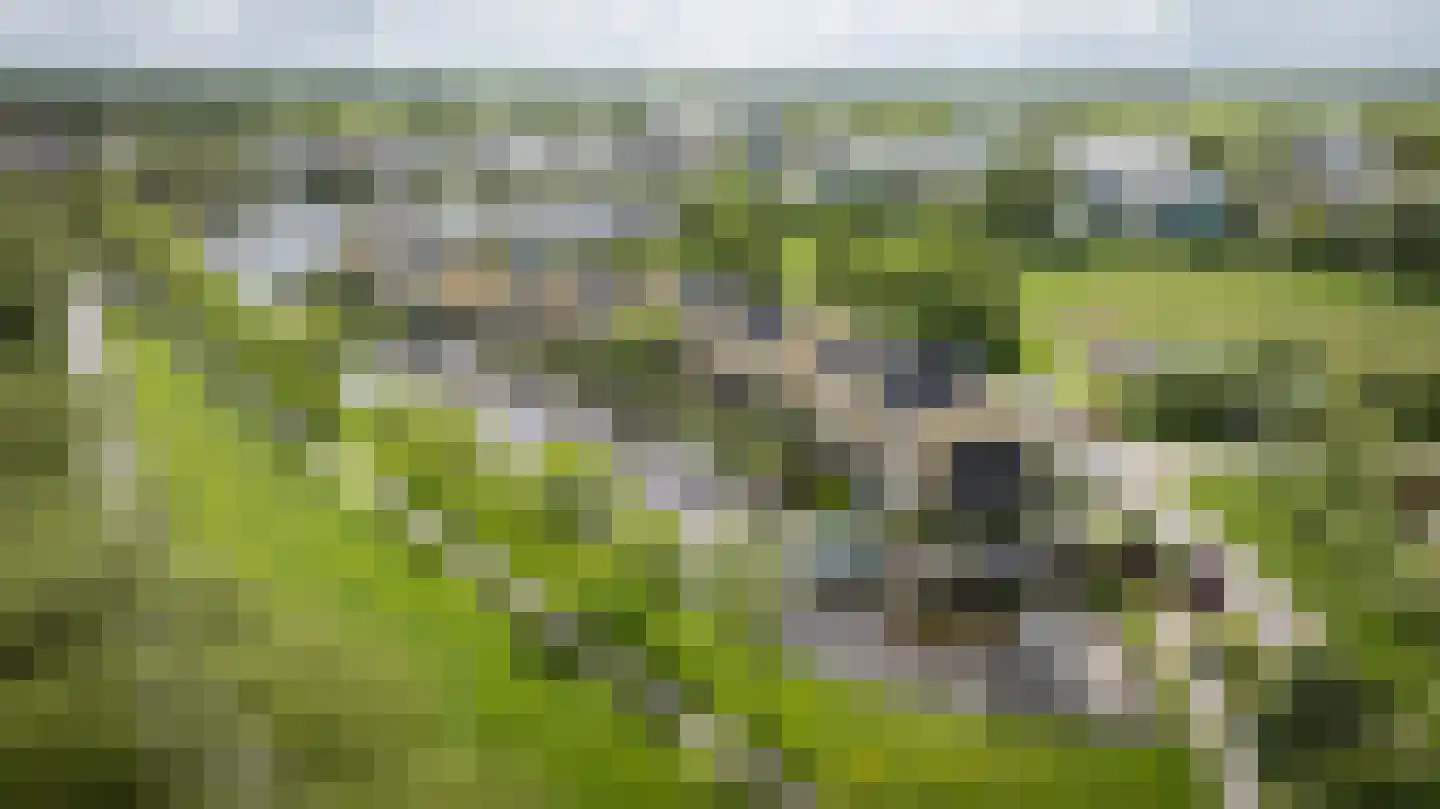 Slootland 39 Oldemarkt thumbnail 55