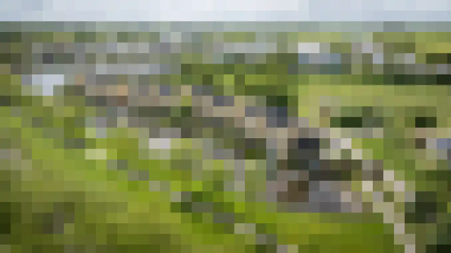 Slootland 39 Oldemarkt thumbnail 56