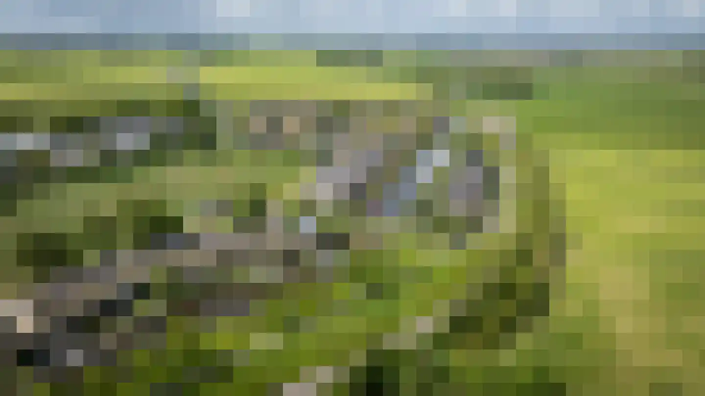 Slootland 39 Oldemarkt thumbnail 58
