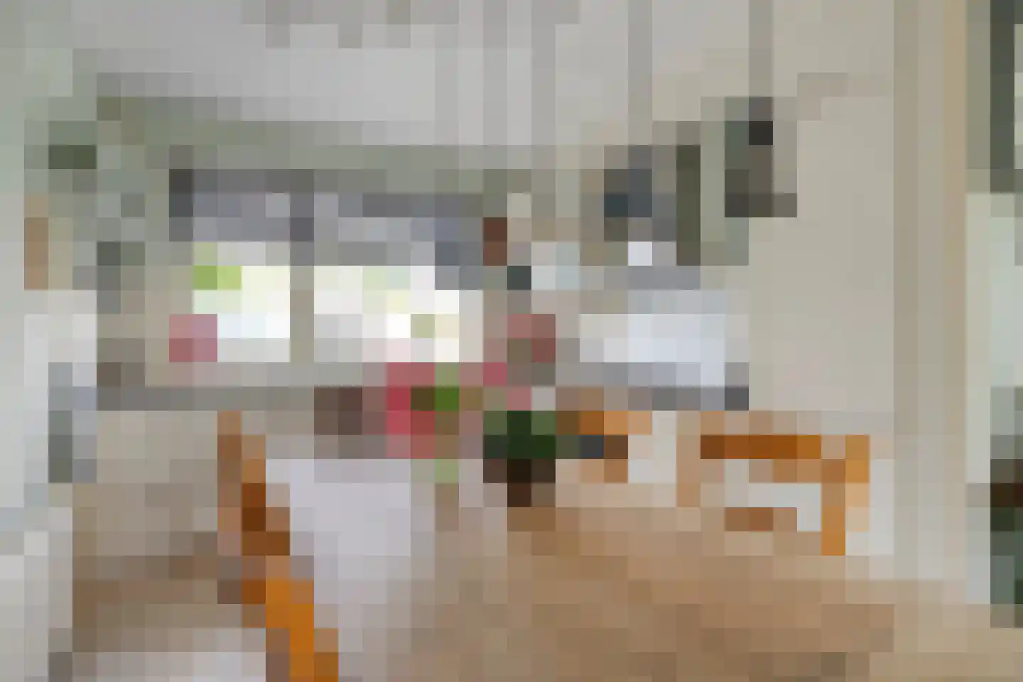 Slootland 39 Oldemarkt thumbnail 8