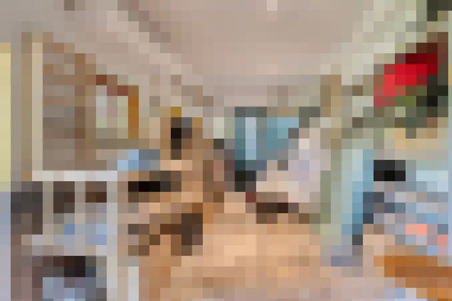 Slootsdijk 12 a Ruurlo thumbnail 22