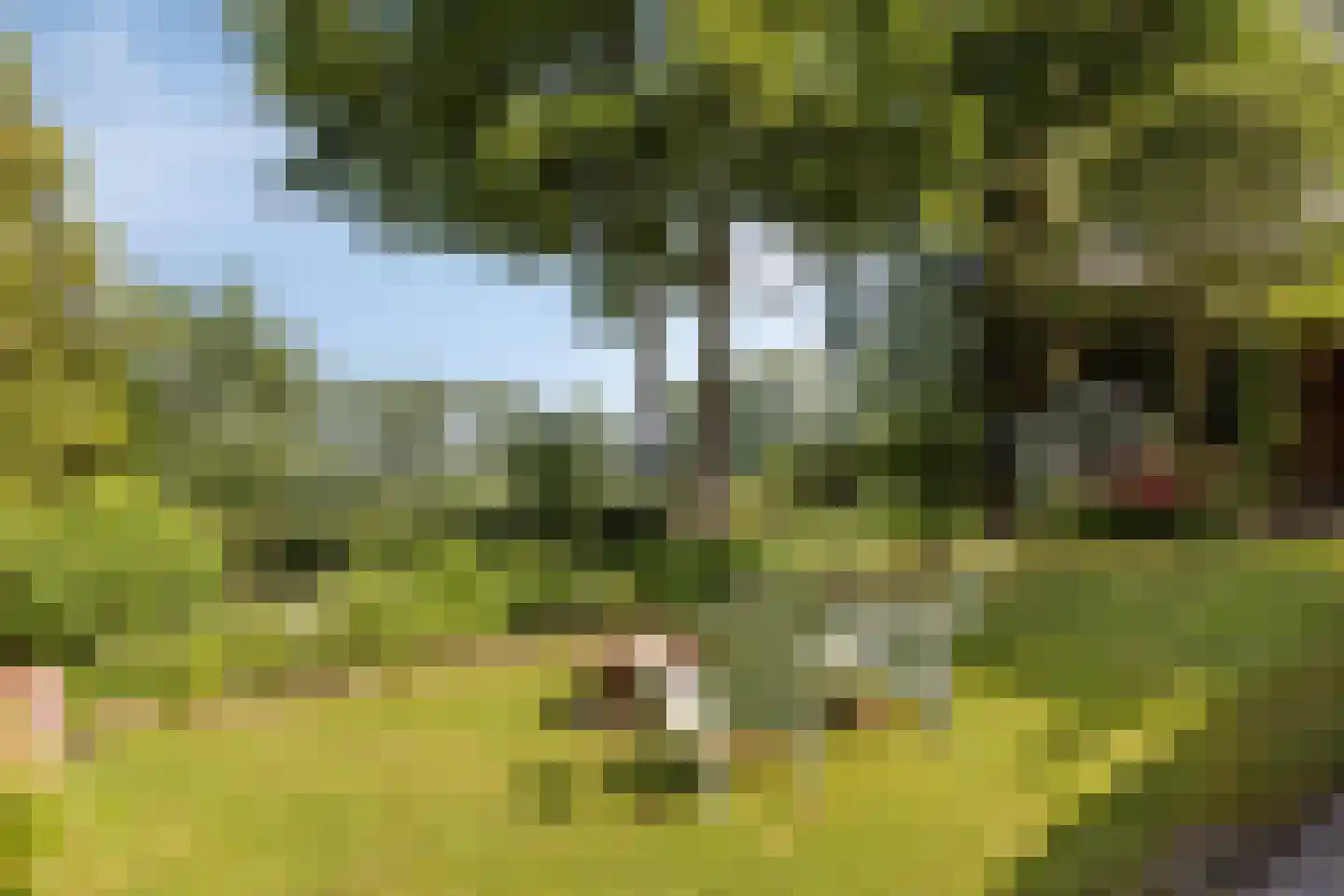 Slootsdijk 12 a Ruurlo thumbnail 46