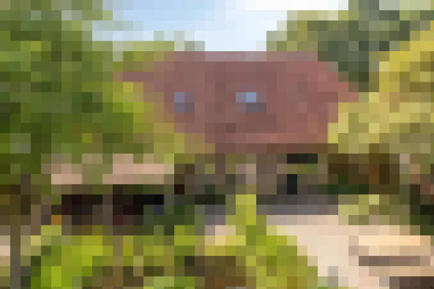 Slootsdijk 12 a Ruurlo thumbnail 51