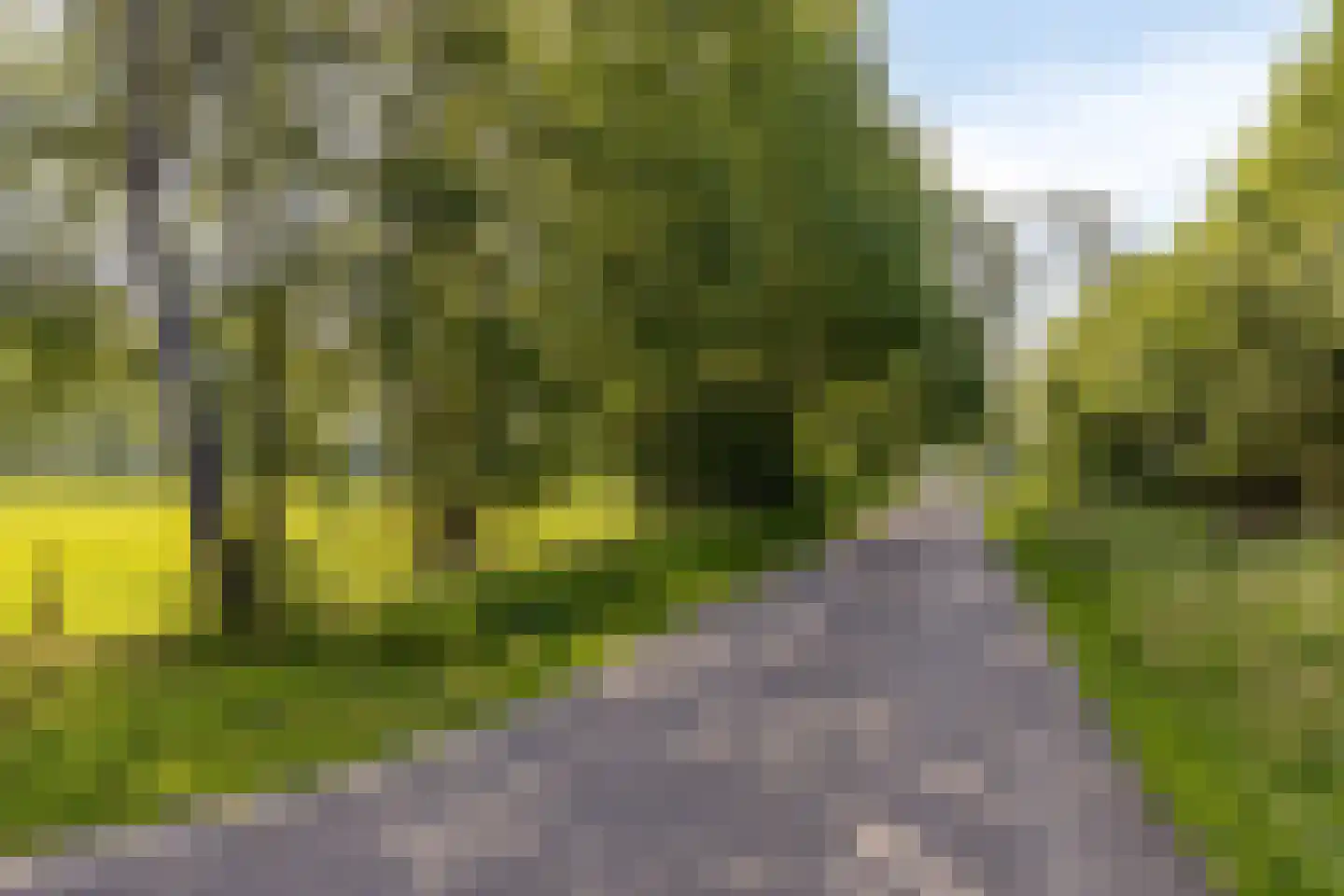 Slootsdijk 12 a Ruurlo thumbnail 57