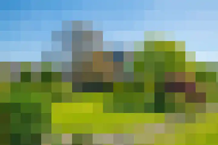 Slootsdijk 14 Ruurlo thumbnail 18