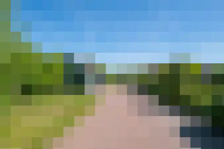 Slootsdijk 14 Ruurlo thumbnail 19