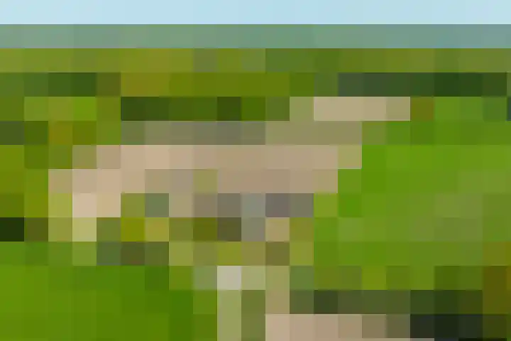 Slootsdijk 14 Ruurlo thumbnail 4
