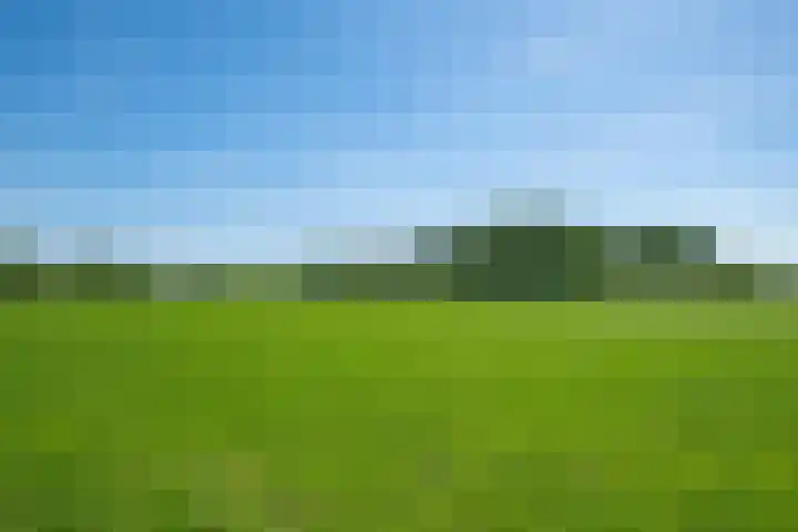 Slootsdijk 14 Ruurlo thumbnail 40